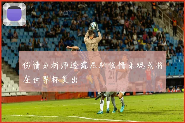 伤情分析师透露尼科伤情乐观或将在世界杯复出